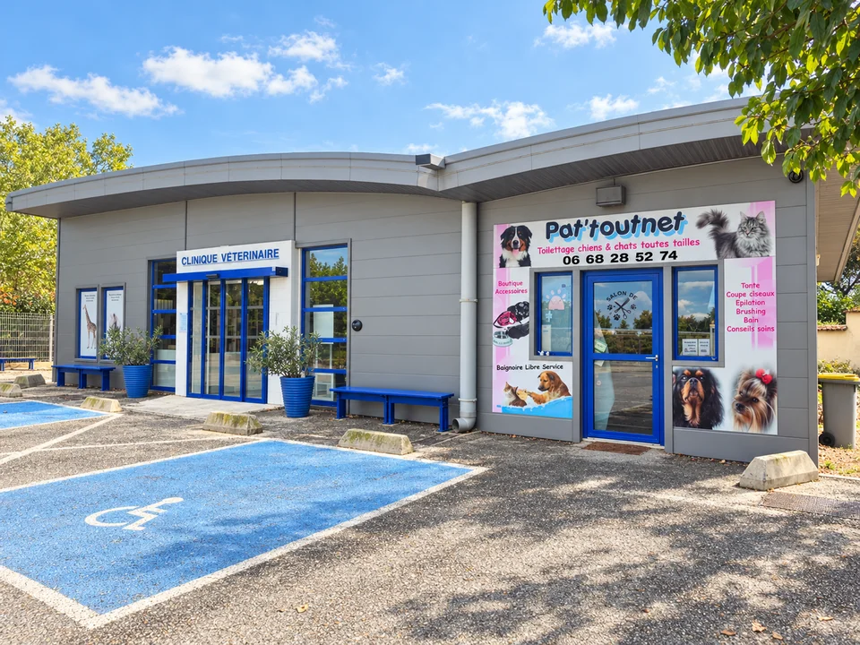 Le salon Pat’toutnet, la clinique vétérinaire voisine et le parking