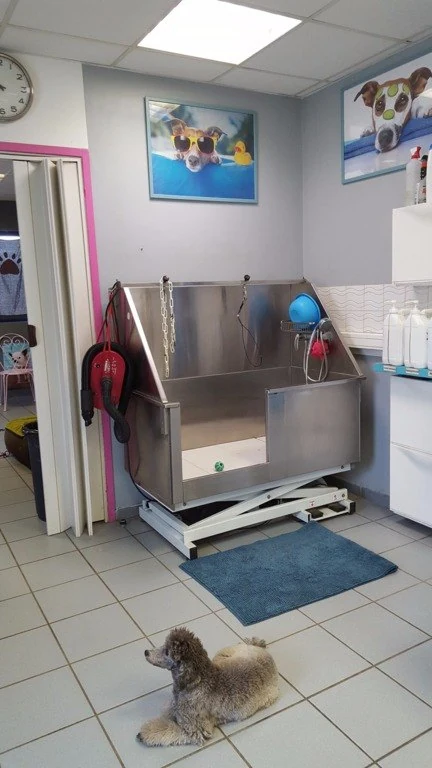 Baignoire professionnelle proposée en libre-service chez Pat’toutnet